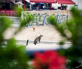 _AY_0953－1024