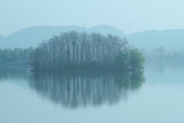 DDC84439-0B7B-4B78-89FC-EED8E83AAA22/L0/001