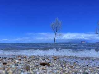 B8B86DF4-C015-40F3-95B8-F5F1C766A471/L0/001