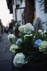 1A4C675E-6B1F-4CD2-97F9-0A43EB5889C2/L0/001