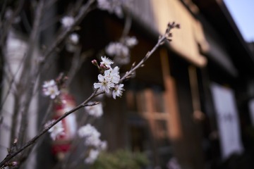 568EC36D-D26A-4521-9ED6-29F5FF0450F4/L0/001