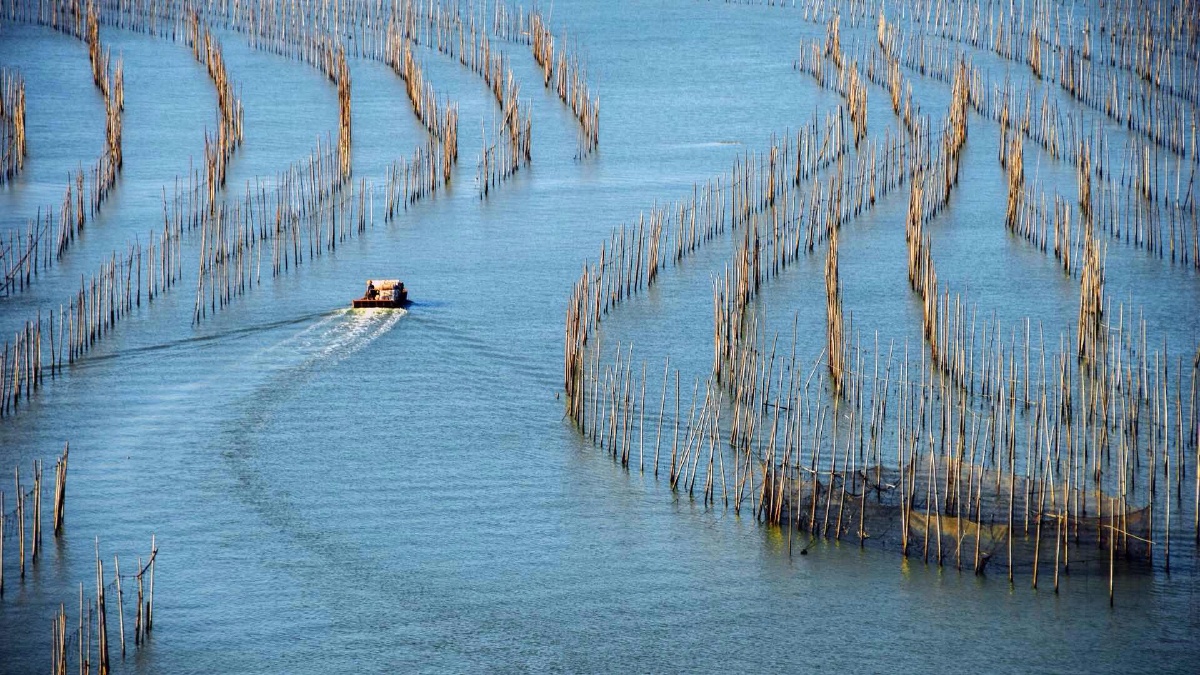 中国最美海滩--霞浦风光之三 (沙江围竿s弯)