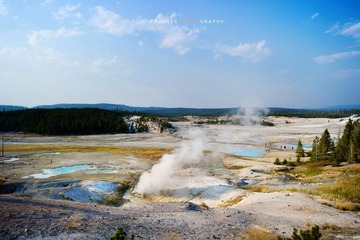 DSC_1365.jpg