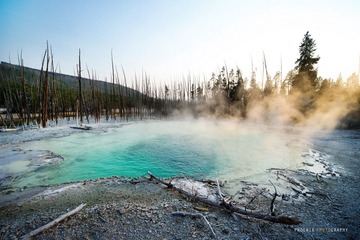 DSC_1441-2.jpg