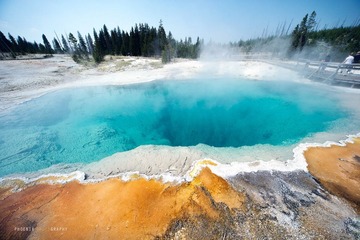 DSC_2293.jpg