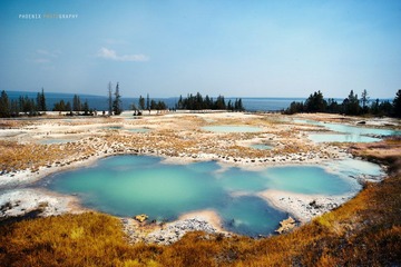 DSC_2336.jpg