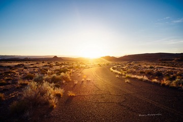 Arizona
