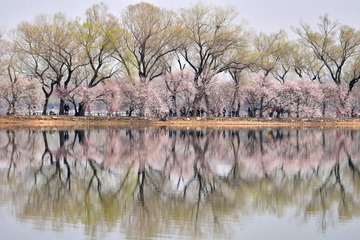 DSC_5225