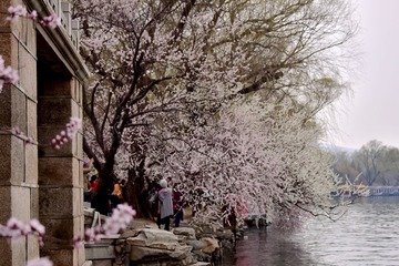 DSC_5051