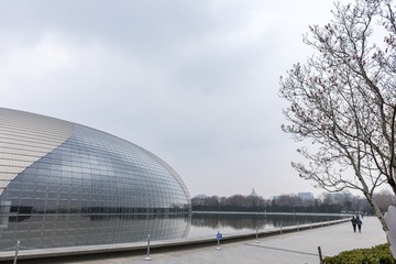 DSC_3867