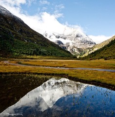 “DSC_4013”为智能对象-1