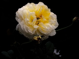 0E57AB41-9D8C-4843-8777-A4DDDA6835A8/L0/001