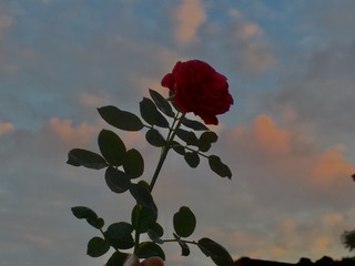 C9B63D89-BA08-4F2C-80EB-6EA7BAB632F6/L0/001