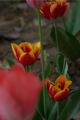 162022