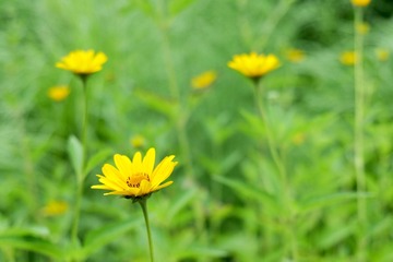 B03FC22F-A7BA-4D78-AE55-B2738215D427/L0/001