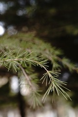 B76B3B08-EC6B-4370-86B0-7B5D94B49EAB/L0/001