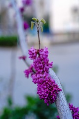 57590FB1-89BB-4C93-867F-23E784A96BB4/L0/001
