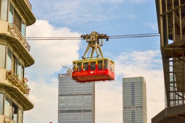 50081