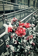 IMG_4241ae-3ae.jpg