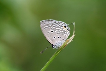 IMG_4000.JPG