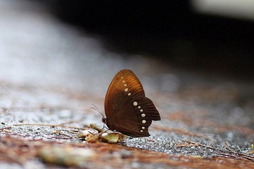 IMG_4022.JPG