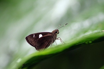 IMG_4039.JPG