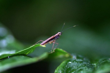 IMG_4054.JPG