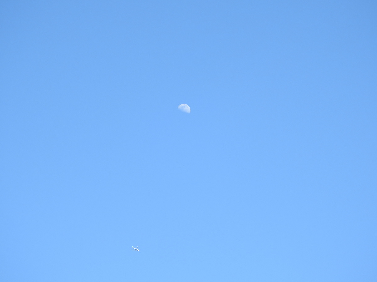 白天的月亮 - 手机摄影ldm - 图虫