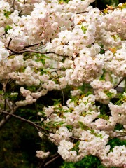 152025