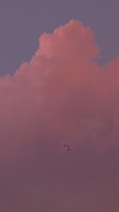 6F35744F-DEE8-440F-B8A7-D0DEDFA5EF03/L0/001