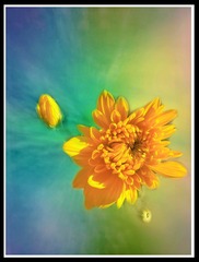 289C2552-9934-4D74-80D4-3FB10E0C8DED/L0/001