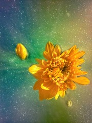3199C070-1F0C-48AB-A62C-A8DF5398FE41/L0/001
