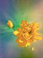 3AF14763-9D02-4569-AF08-F3772D8213C5/L0/001