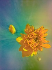 9D0D5A15-533C-4C2A-BF74-6DF561F256CA/L0/001