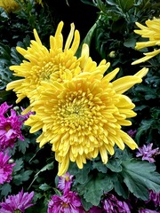 F420DBE9-31CB-4A3C-A594-F4C2CED896CE/L0/001