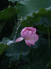 D7A6A28D-780A-4E42-9655-10305C07308F/L0/001