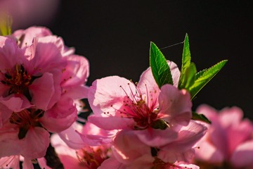 02542F83-224F-4357-BDD2-289BC169AC00/L0/001