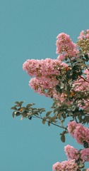 A7D46CC4-4EF1-45E6-940D-4C5A210B0FCC/L0/001