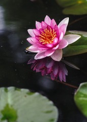 DSC02888a