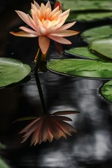DSC02901a