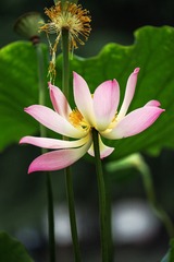 DSC02937a