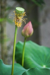 DSC02947a
