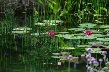 DSC03003a