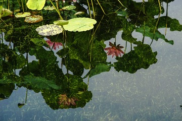 DSC02985a
