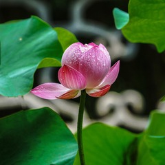 DSC03012a