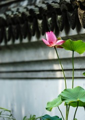DSC03002a