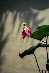 DSC03020a