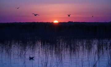 DSC08941a