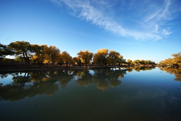 DSC04021a