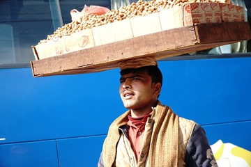 DSC00208a